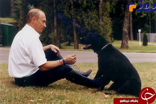 سگی که بهترین محافظ پوتین است+ عکس