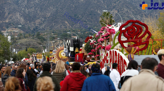 تصاویری دیدنی از جشنواره گل در کالیفرنیا