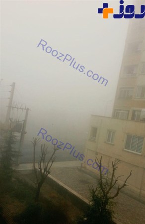 عکس/ تهران در مه پنهان شد