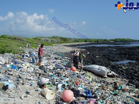 ساحل پلاستیکی در هاوایی +عكس