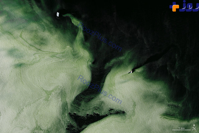 تصاویری عجیب از یخ های سبز در قطب جنوب