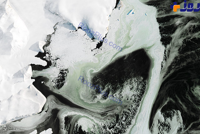 تصاویری عجیب از یخ های سبز در قطب جنوب