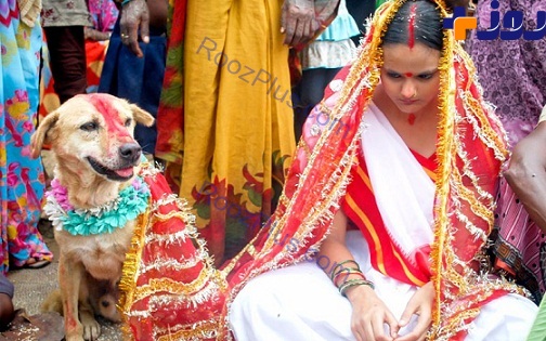 سنت عجیب ازدواج با حیوانات در هند + عکس