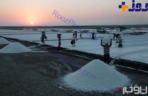 عکس هایی از کارگران در حال استخراج نمک