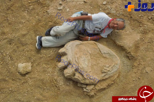 کشف ردپای بزرگترین دایناسور تاریخ در مغولستان +عکس