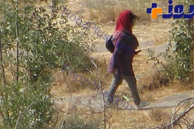 بهشت معتادان مسلح در شمال تهران +عکس