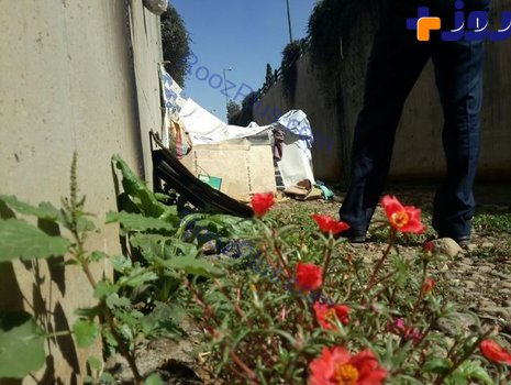 ماجرای چادر واقع در اتوبان امام علی +تصاویر