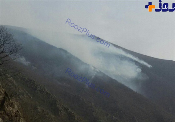 جنگل‌های مرزن آباد چالوس آتش گرفت/ بی‌تفاوتی 3 روزه مسئولان نسبت به آتش‌سوزی