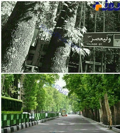 طولانی ترین خیابان خاورمیانه + عکس