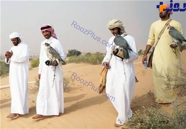 کسب مجوز شکار پرندگان کمیاب پاکستانی توسط شاهزاده قطری! +عکس