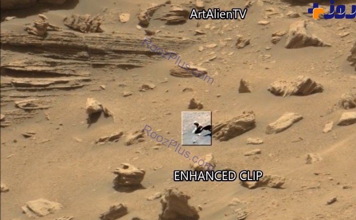 مشاهده موجودی عجیب در مریخ +تصاویر