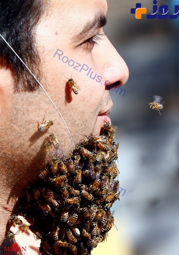 مردی با ریش زنبور عسلی +تصاویر