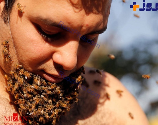 مردی با ریش زنبور عسلی +تصاویر