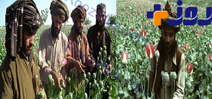 منابع مالی طالبان از کجا تامین میشود؟ +تصاویر