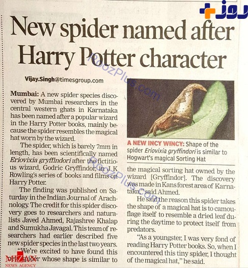 عنکبوت هری پاتر کشف شد +تصاویر