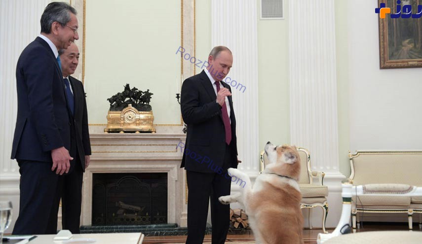 ملاقات سگ خشن پوتین با خبرنگاران! +عکس