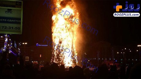 درخت کریسمس 27 متری طعمه آتش شد +عکس