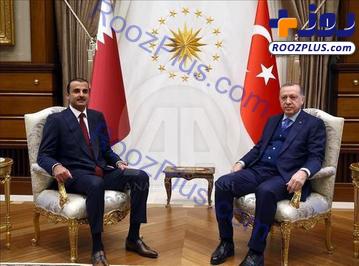 تصاویری از ضیافت اردوغان برای امیر قطر
