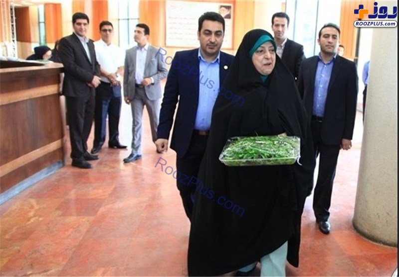 میوه هایی که سیاسی شدند/ از ماجرای هلو گفتن احمدی نژاد تا فصل گیلاس