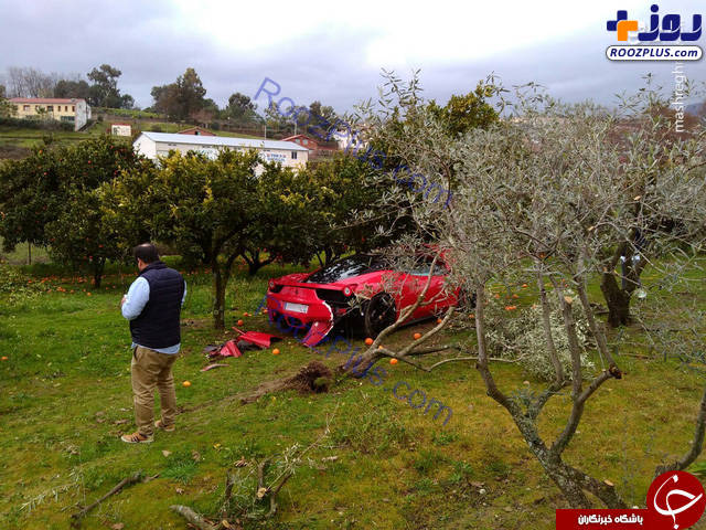 تصادف خودروی میلیاردی با درخت! +تصاویر