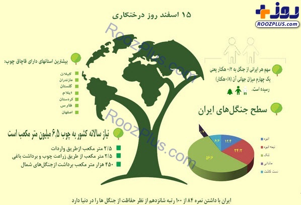 اینفوگرافیک/ وضعیت درختان ایران
