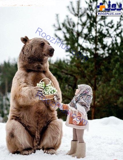 تصاویری باورنکردنی از دوستی صمیمانه خرس300کیلویی با یک خانواده