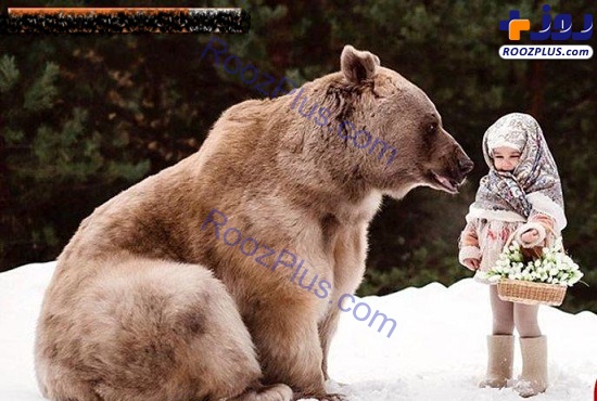تصاویری باورنکردنی از دوستی صمیمانه خرس300کیلویی با یک خانواده