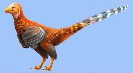 کشف فسیل دایناسور 146 میلیون ساله