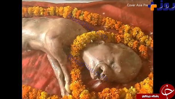 تولد گوساله‌ای با صورتی شبیه به انسان در هند! +تصاویر