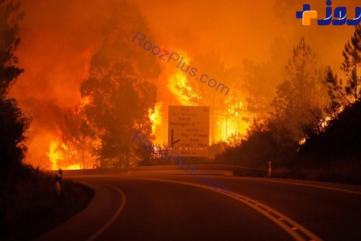آتش سوزی گسترده در پرتغال و کشته هایی که برجا گذاشته است+ عکس