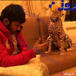 تصاویری از باغ وحش خانگی یک بچه پولدار اماراتی