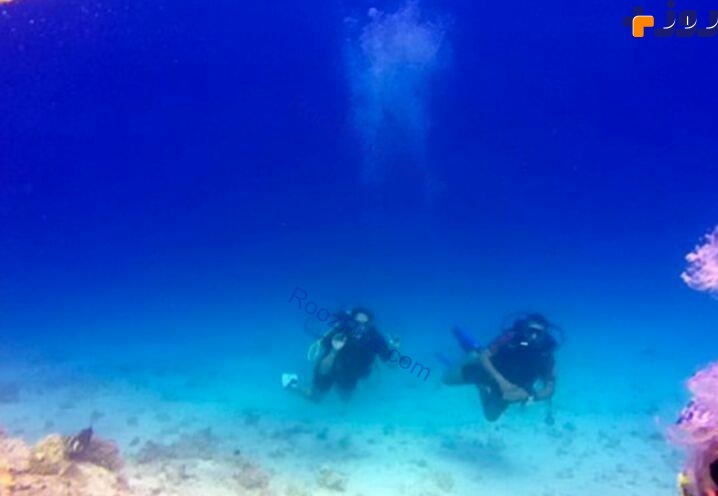 مشاهده یک شبیه در زیر آب موجب وحشت یک غواص شد! +تصاویر