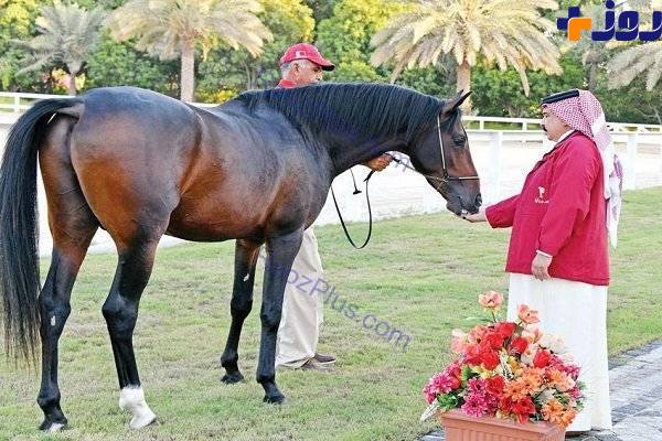 هدیه خاص و پر دردسر ملکه انگلیس به شاه بحرین را ببینید