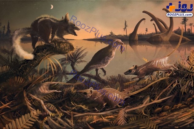 کشف فسیل دندان دایناسور مادر