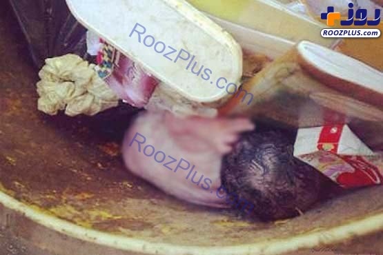 کشف جنین داخل سطل زباله در خیابان مولوی/عکس
