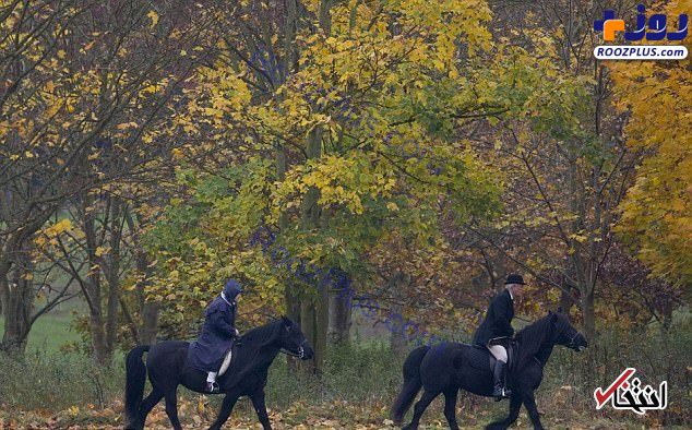 تصاويري از اسب سواري ملكه انگليس در باران