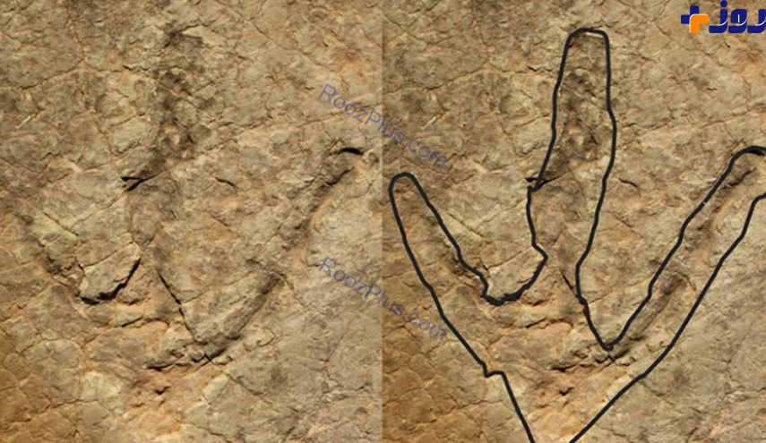 کشف ردپای دایناسور عظیم الجثه در آفریقا +تصاویر