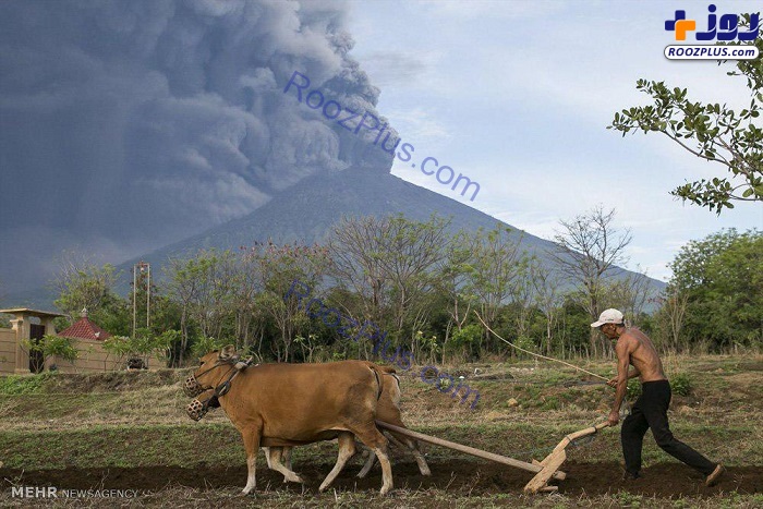 عکسی عجیب از فوران آتش فشان یک کوه بر فراز یک مزرعه