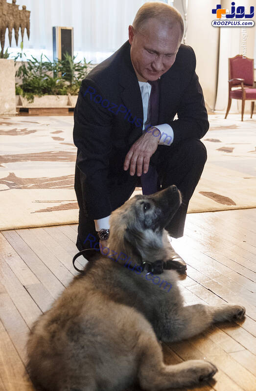 هدیه رئیس جمهور صربستان به پوتین +عکس