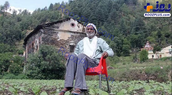 پیرمردی که دست تنها یک جنگل واقعی ساخت! +عکس
