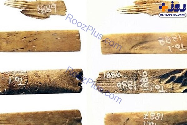 کشف قدیمی‌ترین ابزار خالکوبی جهان +عکس