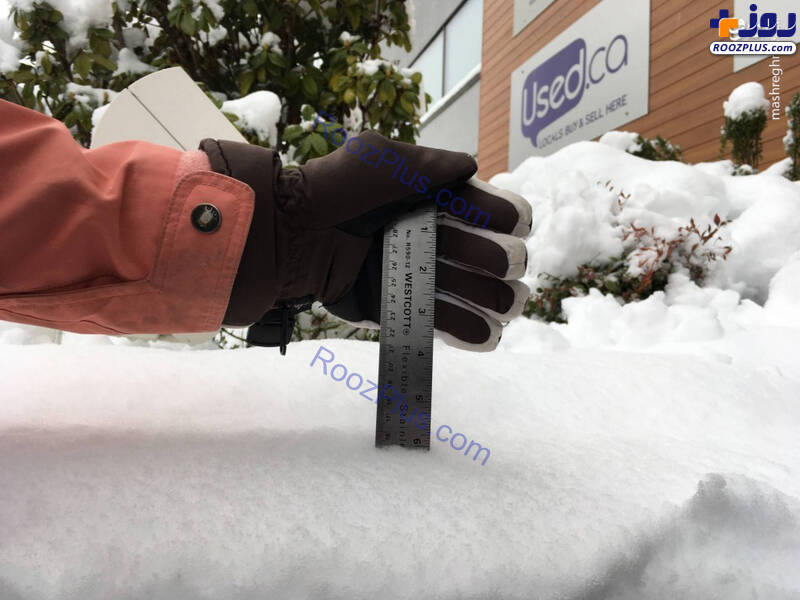 برف و یخبندان در کانادا + تصاویر