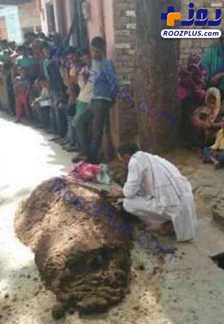 مرگ وحشتناک زن بعد از دفن زیر کوه مدفوع توسط شوهرش!