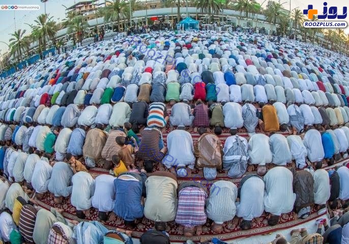 نماز عید فطر در کربلای معلی +تصاویر