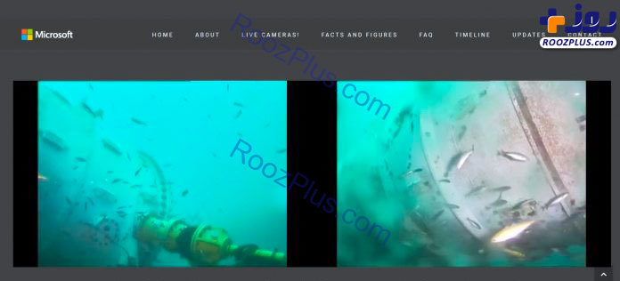 تماشای آنلاین دنیای زیر دریا با مایکروسافت