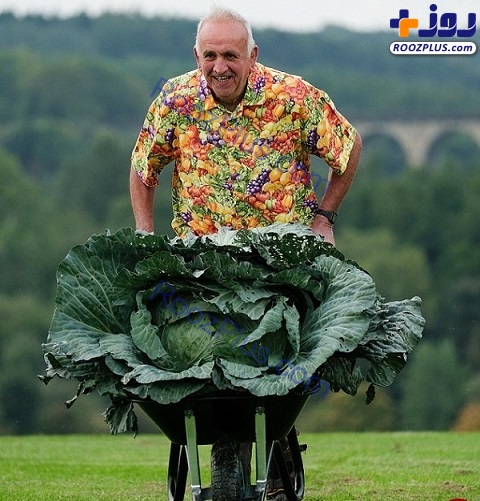 قهرمان پرورش بزرگ‌ترین سبزیجات +عکس
