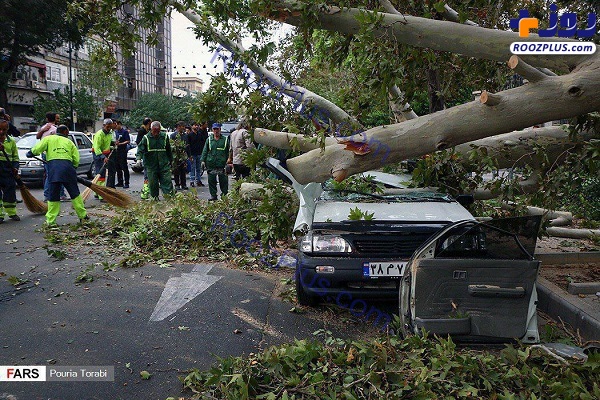 سقوط درخت در اثر طوفان امروز در تهران +تصاویر