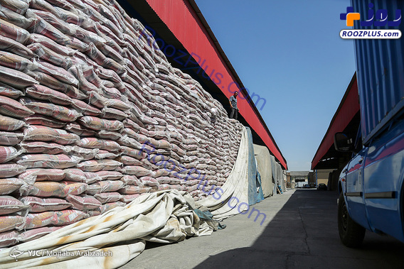 احتکار برنج در انبار سنگ! +تصاویر