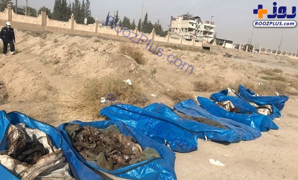 کشف گور دسته‌جمعی با 1500 جسد در رقه سوریه! +تصاویر
