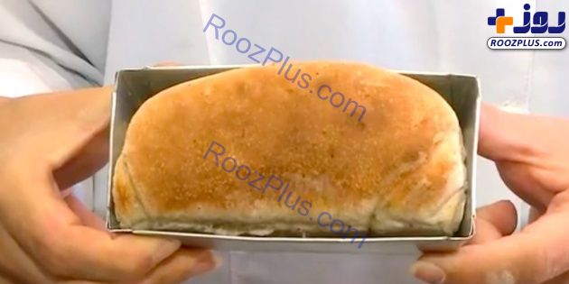 نانی که از آرد سوسک تهیه می‌شود!+عکس